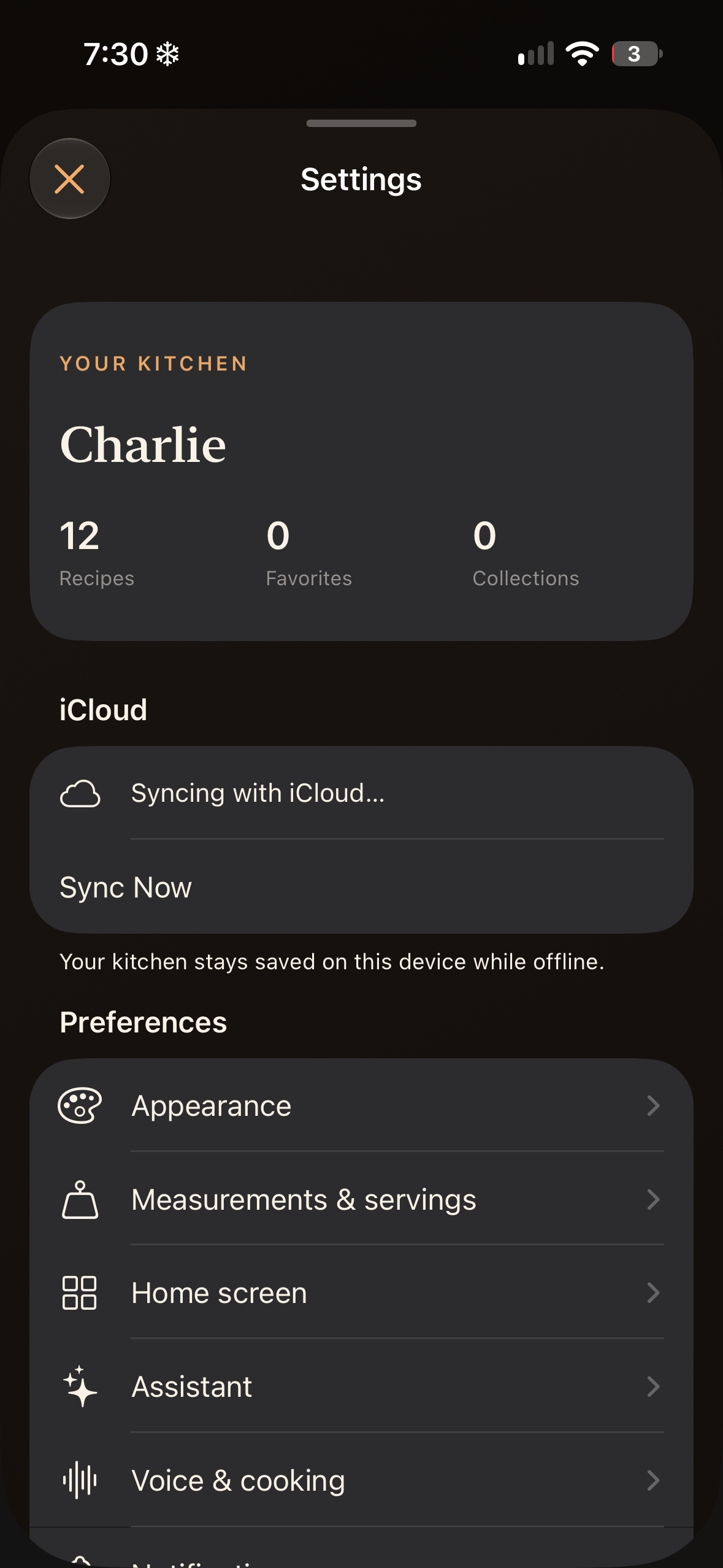 Settings with profile metrics and iCloud controls